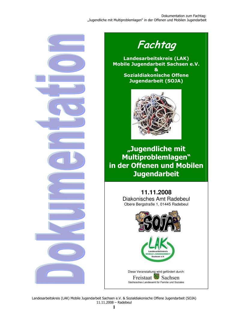 Cover Dokumentation zum Fachtag „Jugendliche mit Multiproblemlagen in der offenen und Mobilen Jugendarbeit“ am 11.11.2008 in Radebeul