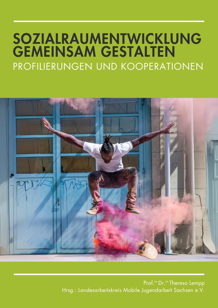 Cover Sozialraumentwicklung gemeinsam gestalten